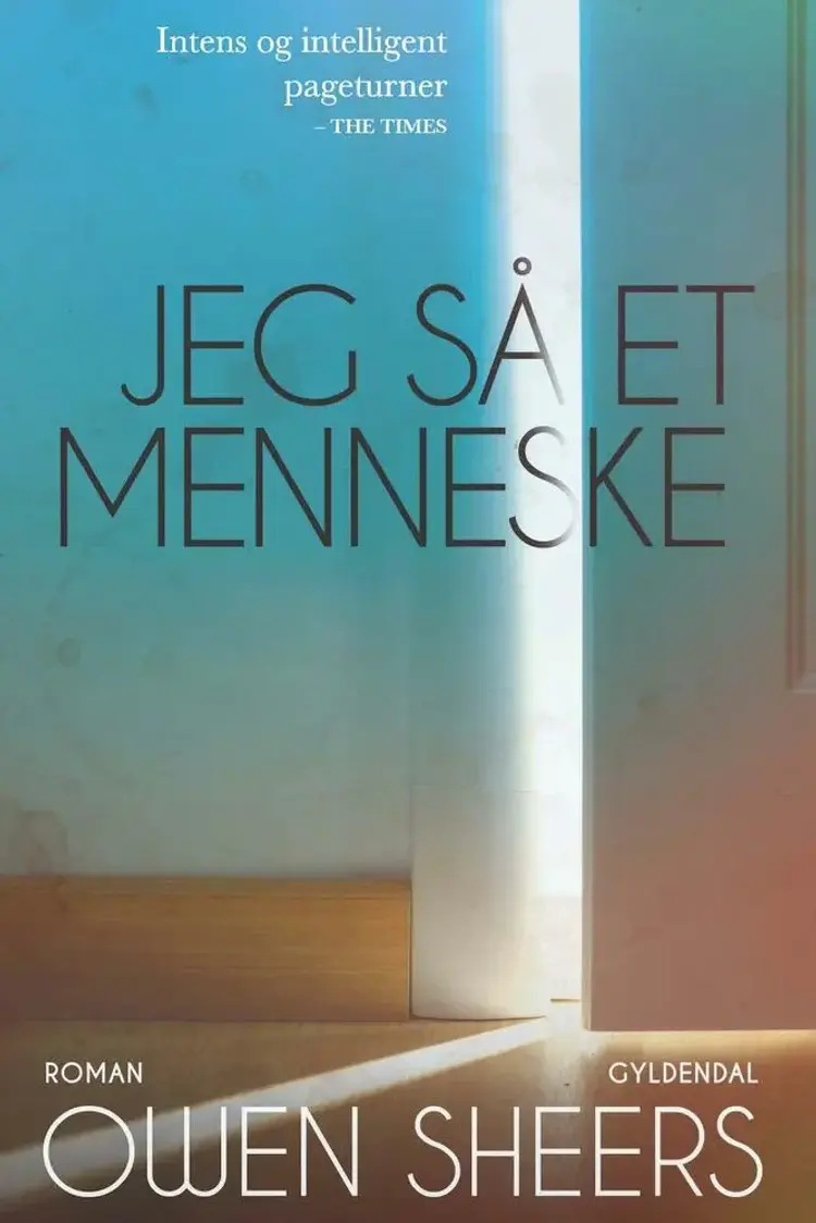 Jeg så et menneske af Owen Sheers