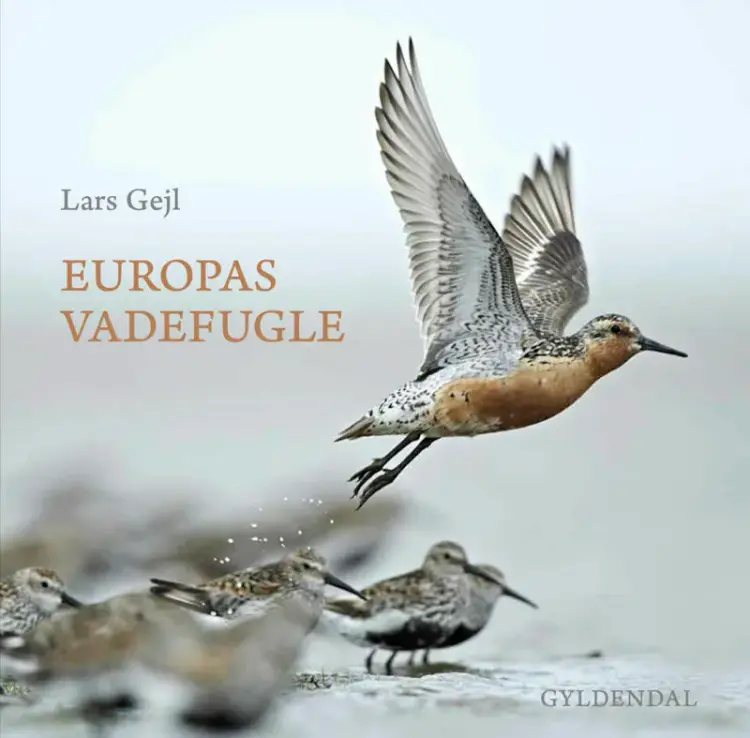 Europas vadefugle af Lars Gejl