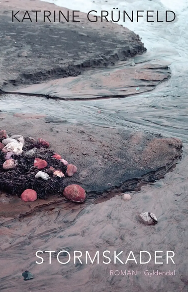 Stormskader af Sven Reiner Johansen