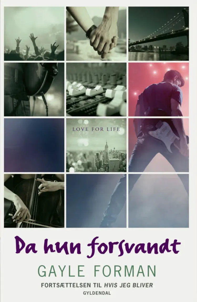Da hun forsvandt af Gayle Forman