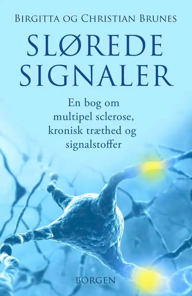 Slørede signaler af Birgitta & Christian Brunes