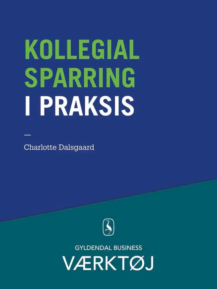 Kollegial sparring i praksis af Charlotte Dalsgaard