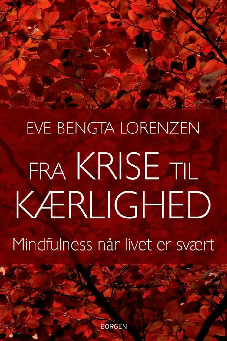 Fra krise til kærlighed af Eve Bengta Lorenzen