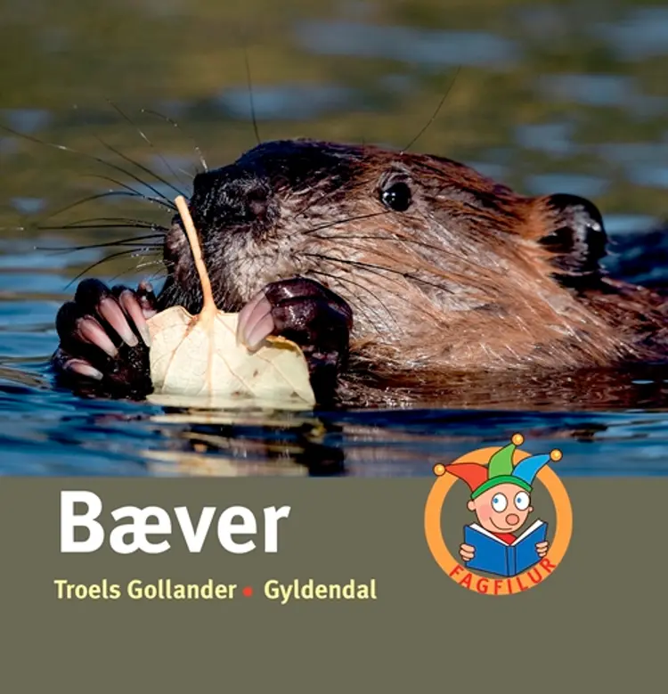 Bæver af Troels Gollander
