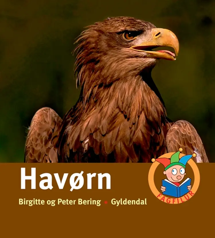 Havørn af Birgitte Bering