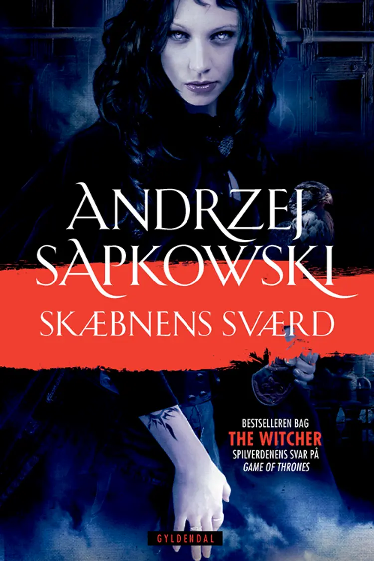 Skæbnens sværd af Andrzej Sapkowski