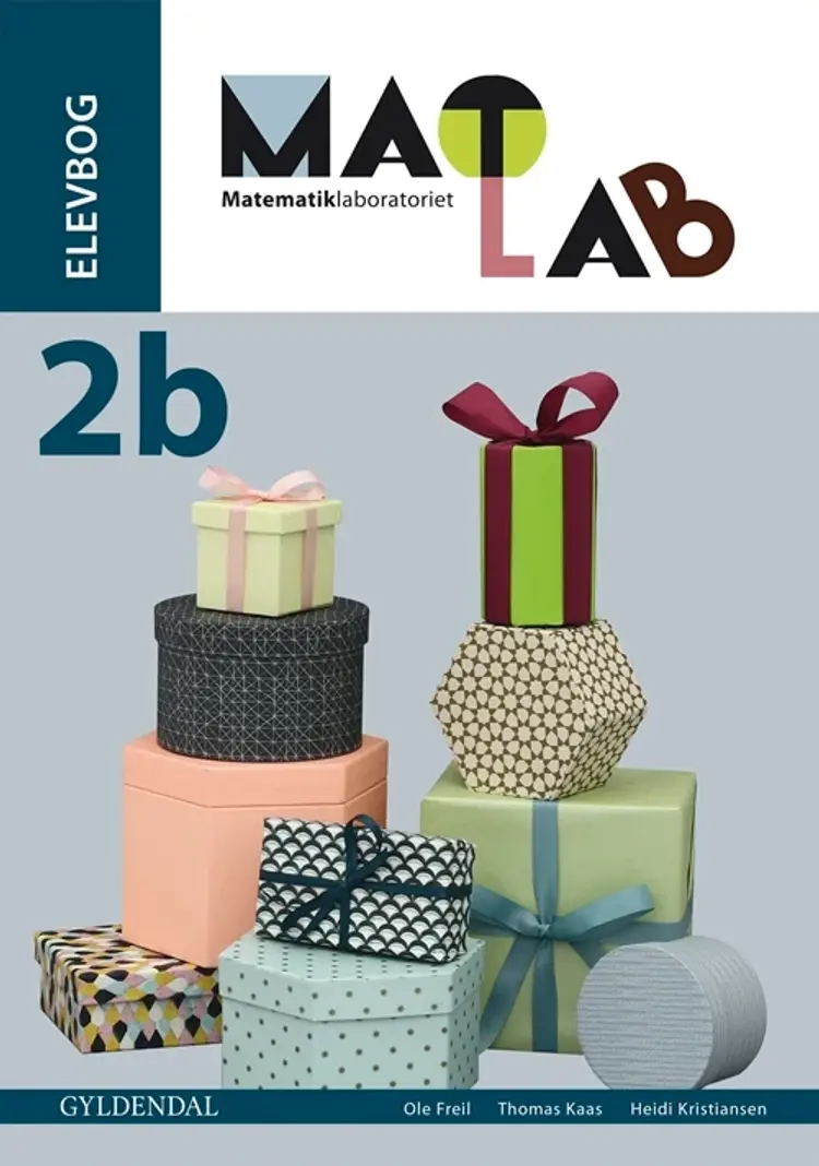 Matlab - matematiklaboratoriet 2b af Thomas Kaas