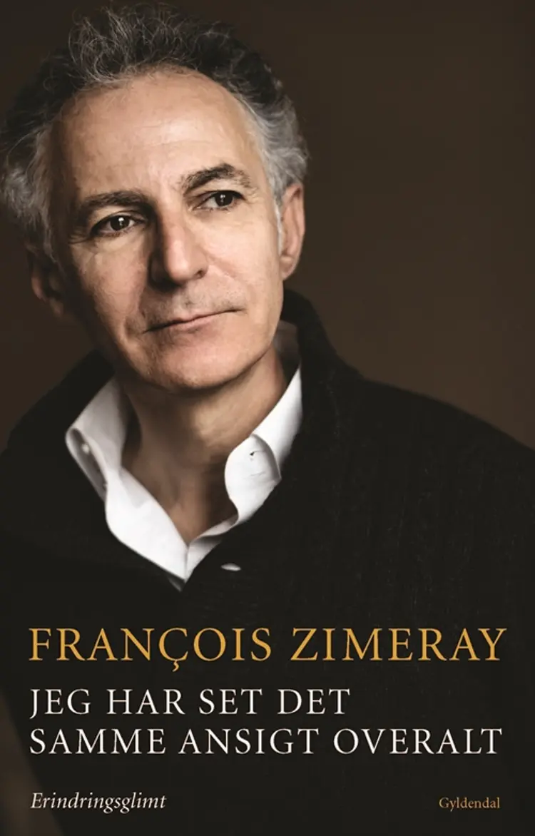 Jeg har set det samme ansigt overalt af Francois Zimeray