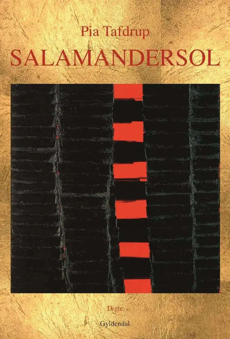 Salamandersol af Pia Tafdrup