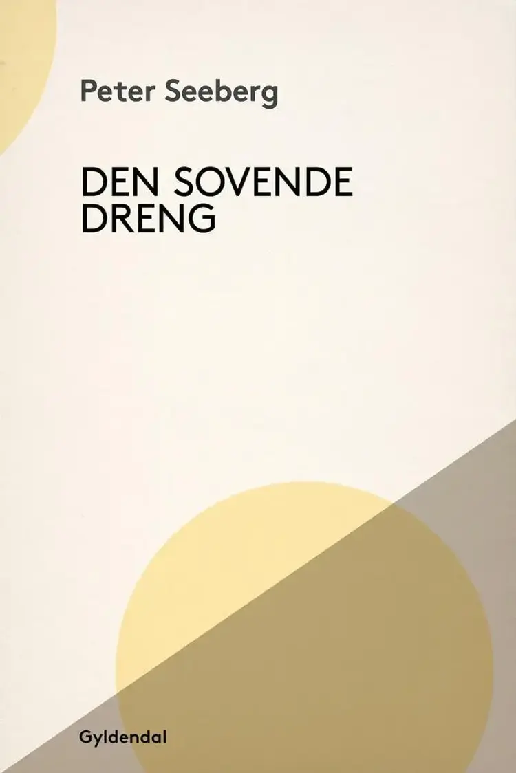 Den sovende dreng af Peter Seeberg