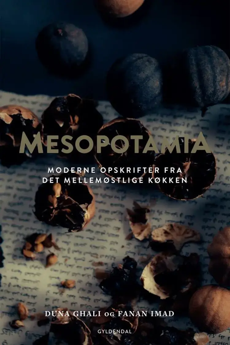 Mesopotamia af Fanan Imad