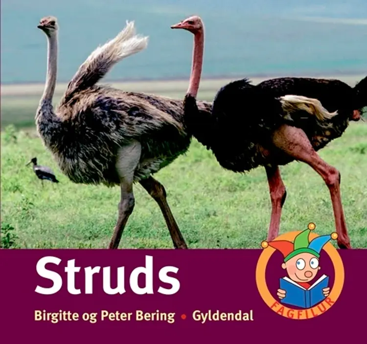 Struds af Birgitte Bering