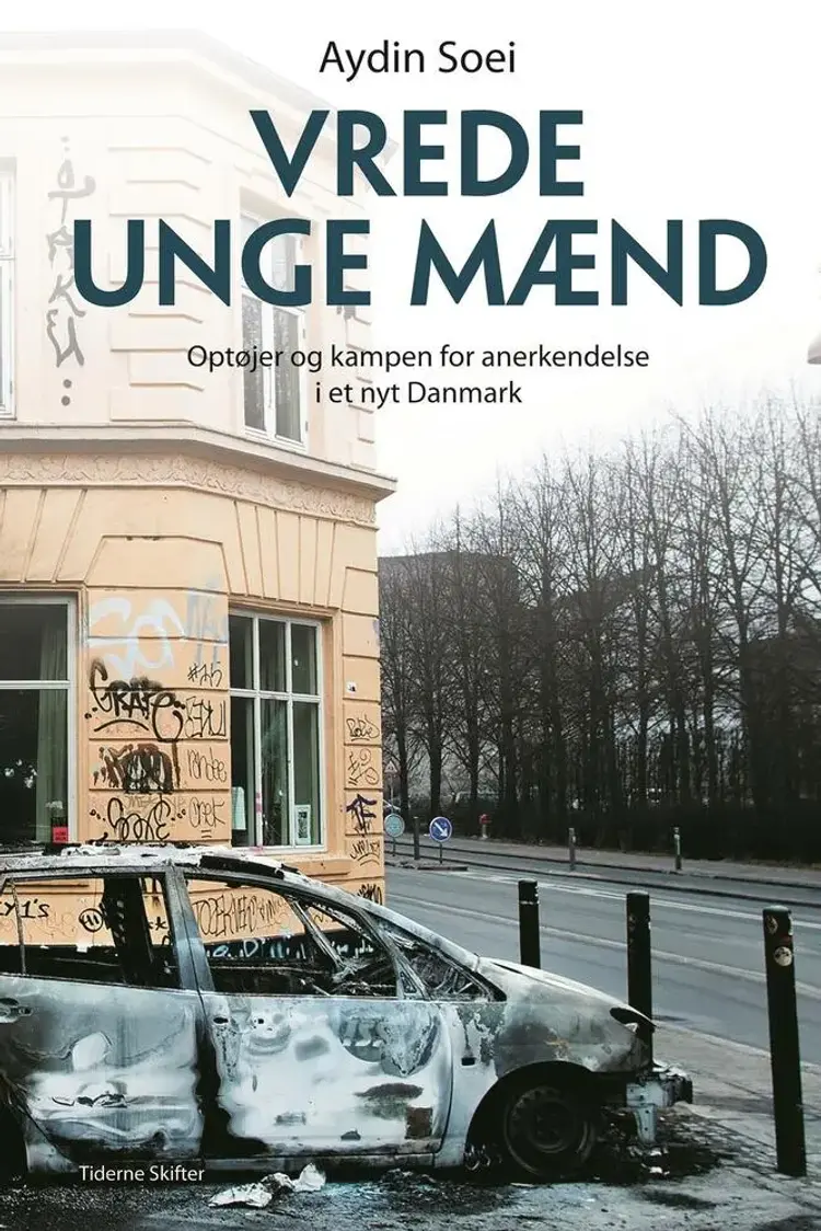 Vrede unge mænd af Aydin Soei