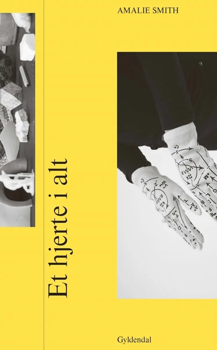 Et hjerte i alt af Amalie Smith