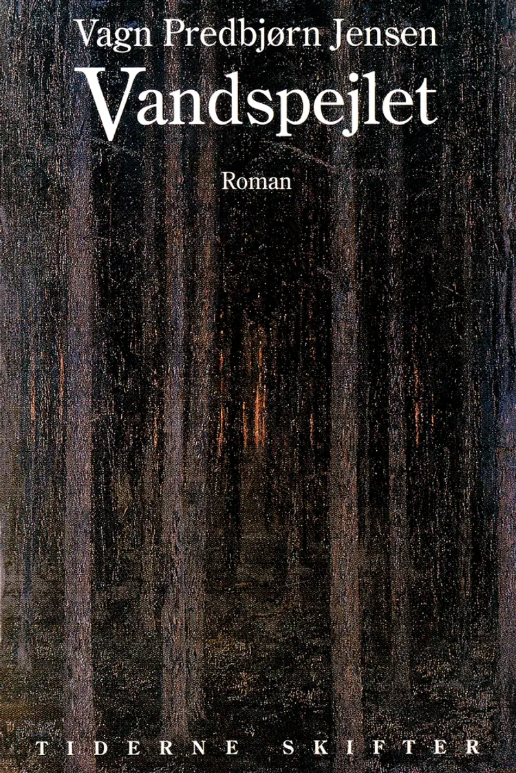 Vandspejlet af Vagn Predbjørn Jensen