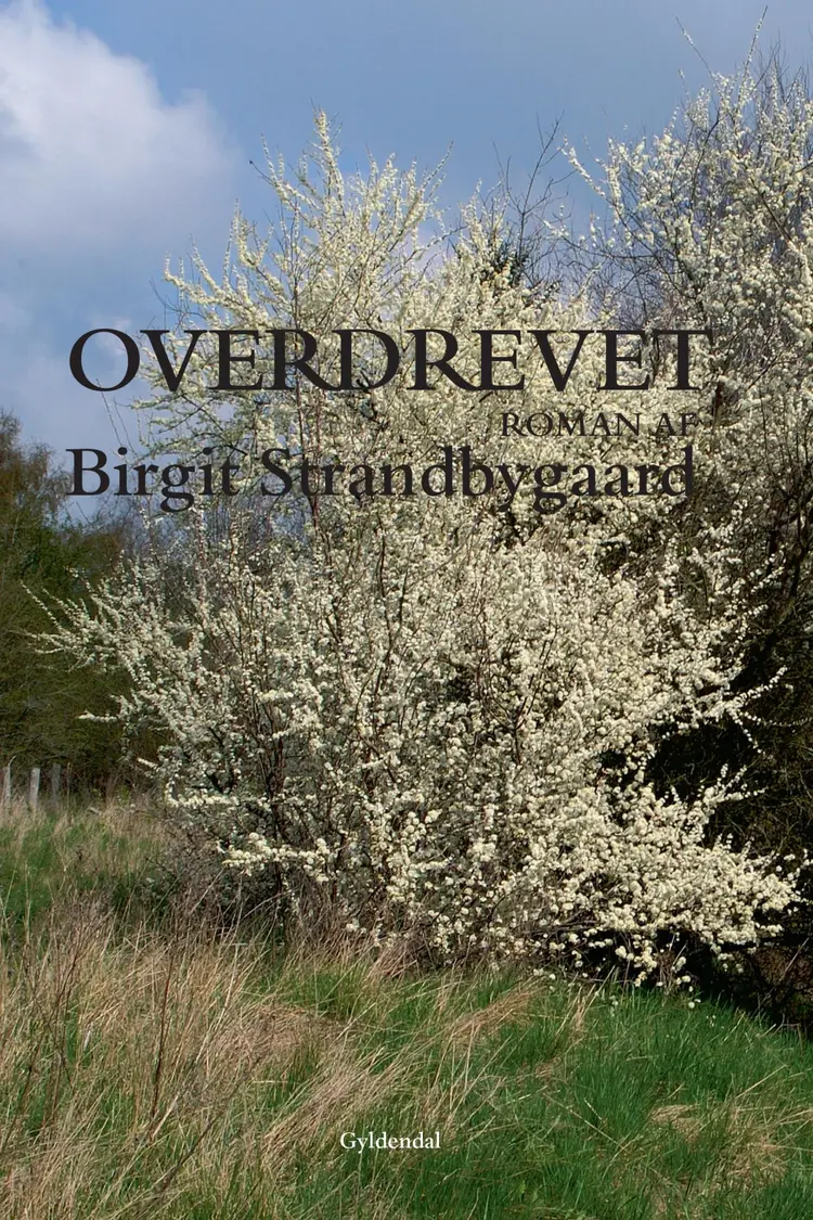 Overdrevet af Birgit Strandbygaard