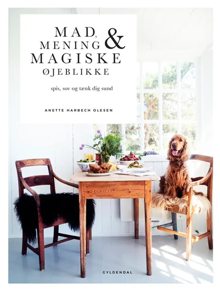 Mad, mening og magiske øjeblikke af Anette Harbech Olesen