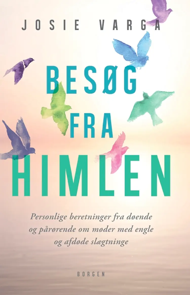 Besøg fra himlen af Josie Varga