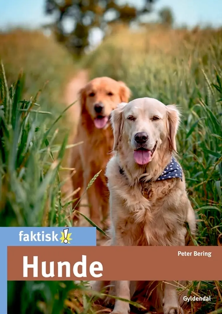 Hunde af Peter Bering