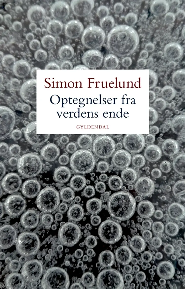 Optegnelser fra verdens ende af Simon Fruelund