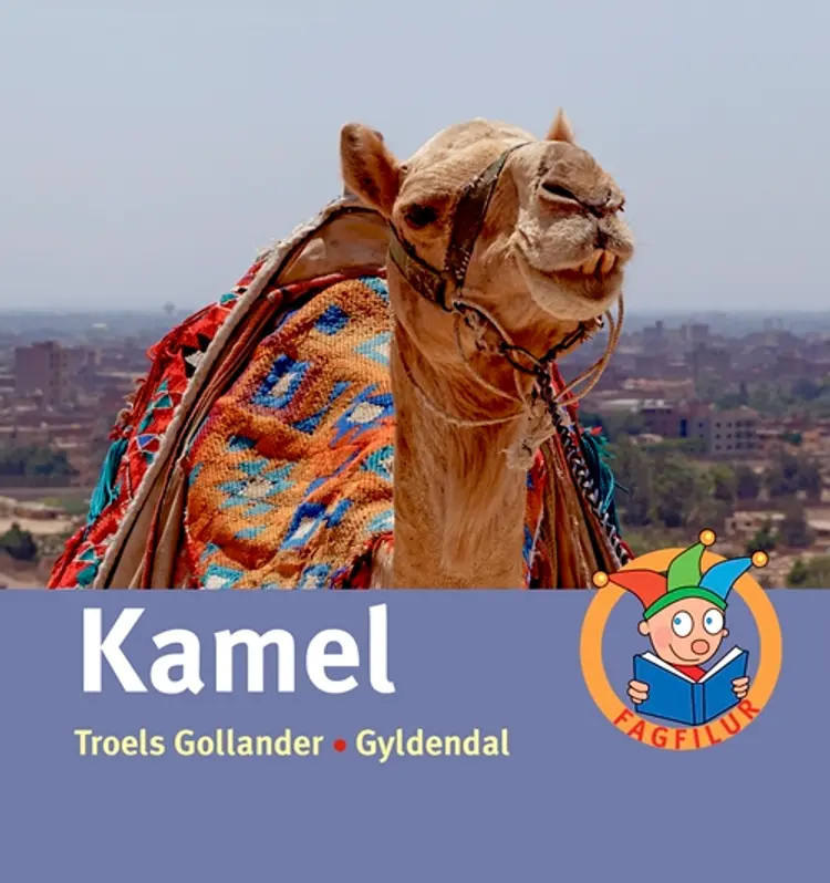 Kamel af Troels Gollander