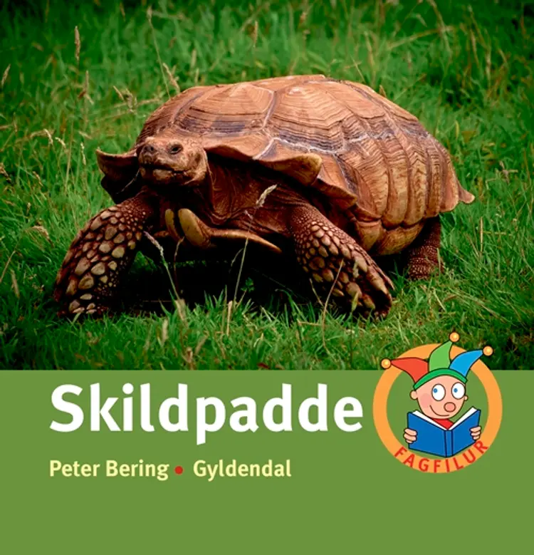 Skildpadde af Peter Bering