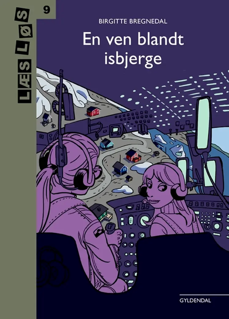 En ven blandt isbjerge af Birgitte Bregnedal