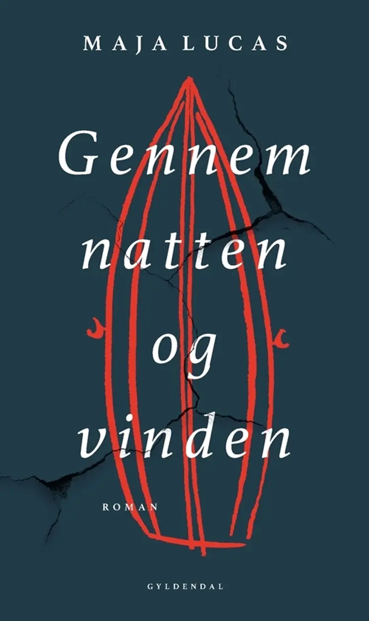 Gennem natten og vinden af Maja Lucas