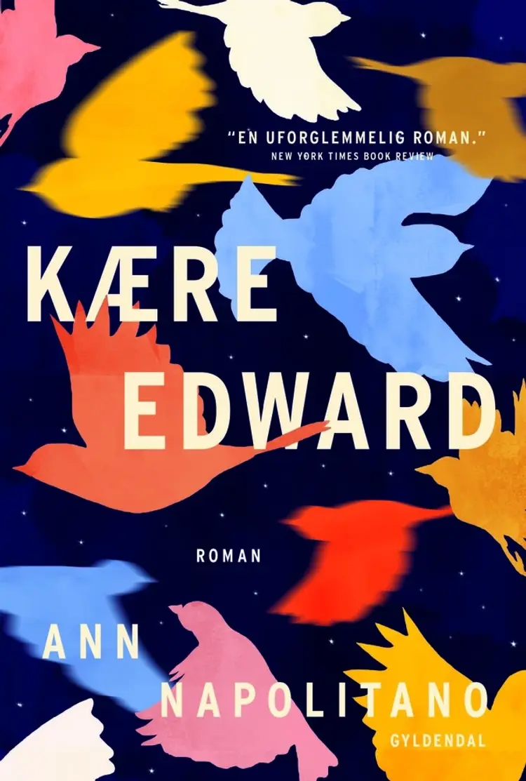 Kære Edward af Ann Napolitano
