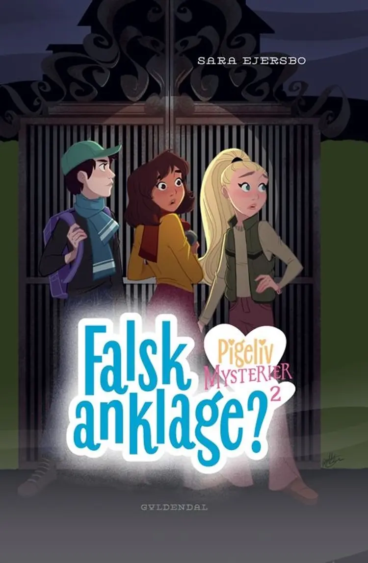 Falsk anklage af Sara Ejersbo