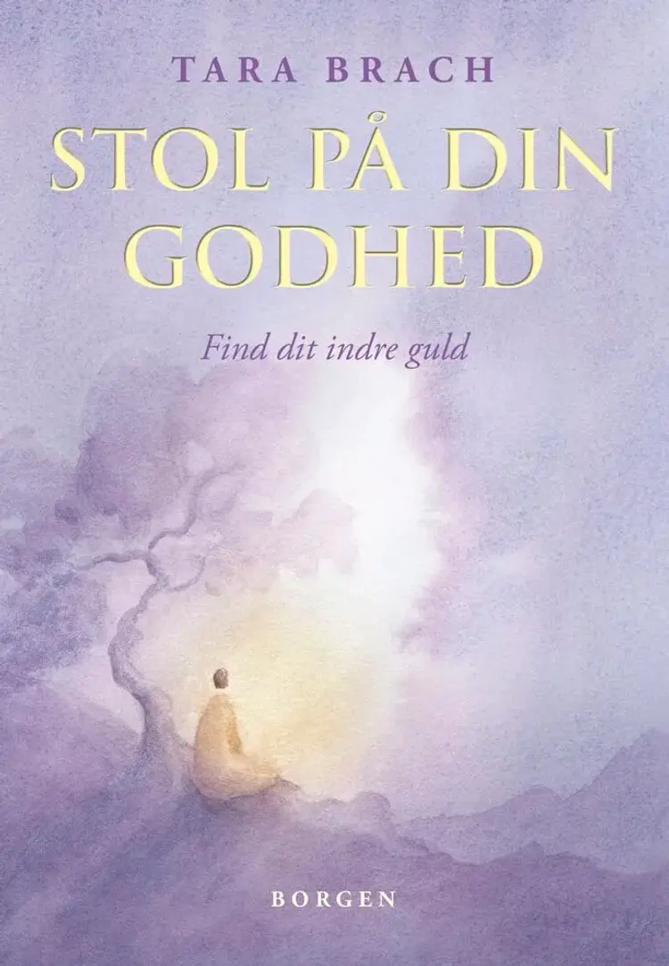 Stol på din godhed af Tara Brach