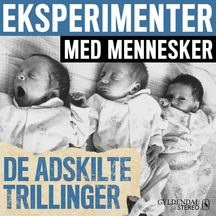 De adskilte trillinger af Gyldendal Stereo