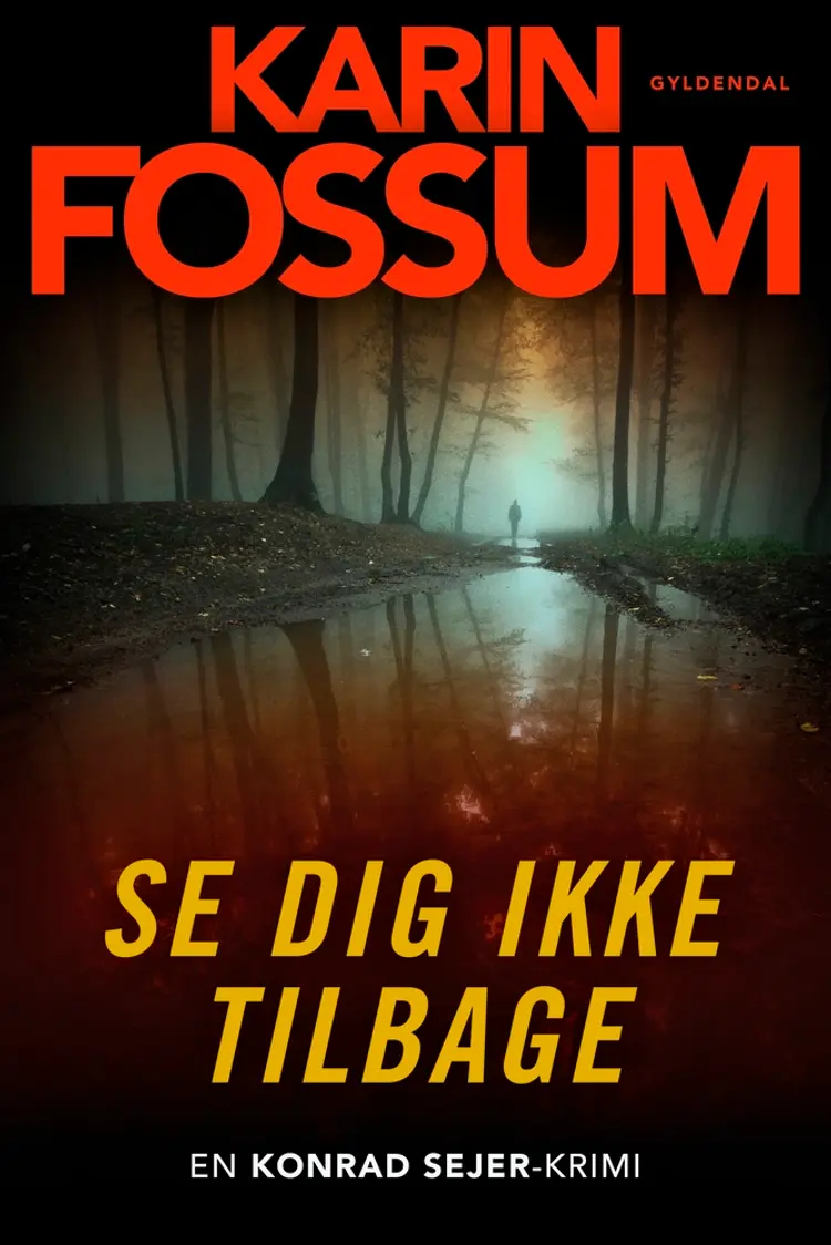 Se dig ikke tilbage af Karin Fossum