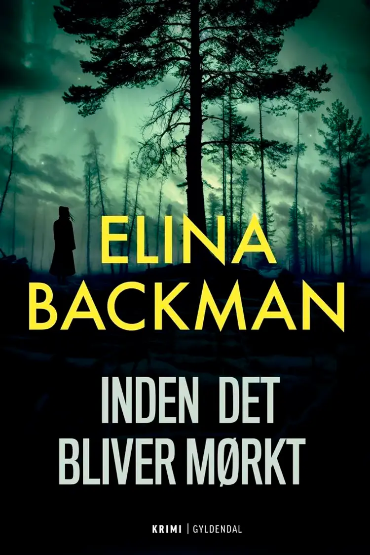Inden det bliver mørkt af Elina Backman