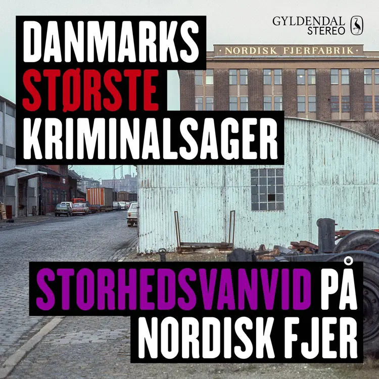 Storhedsvanvid på Nordisk Fjer af Gyldendal Stereo