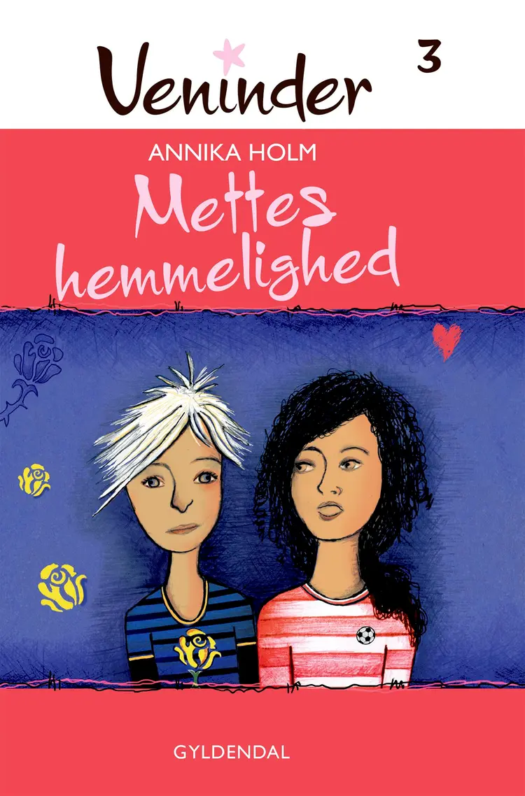 Mettes hemmelighed af Annika Holm