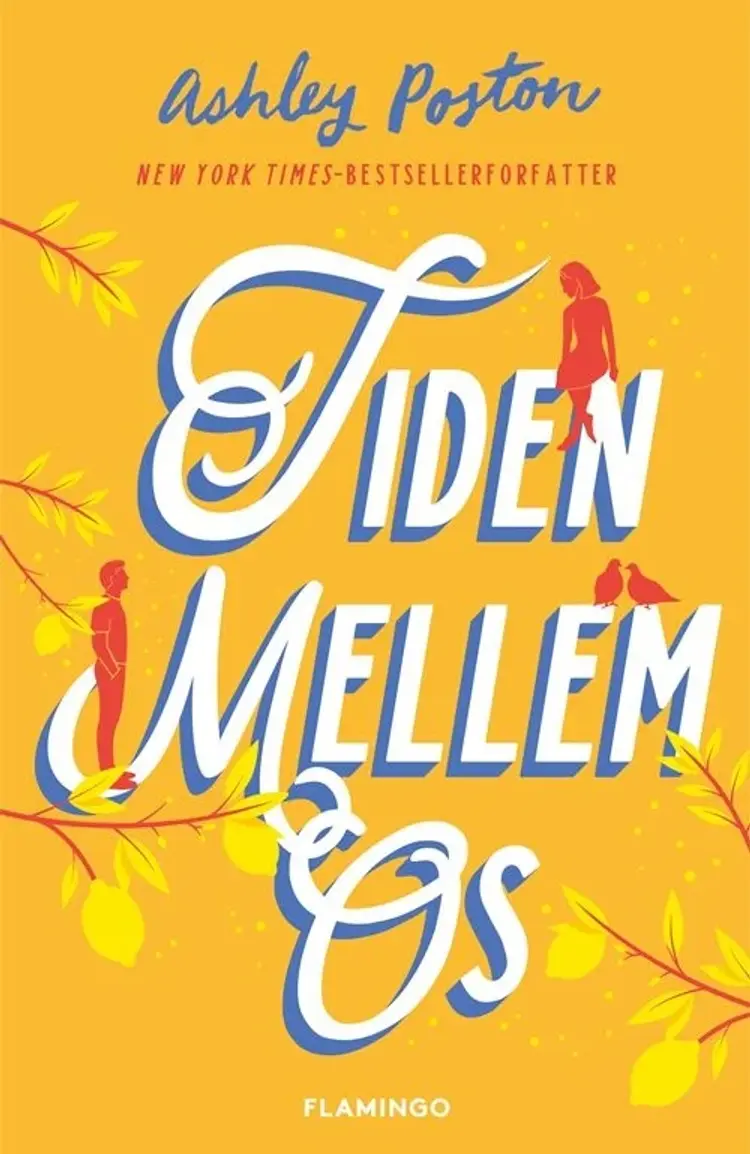 Tiden mellem os af Ashley Poston