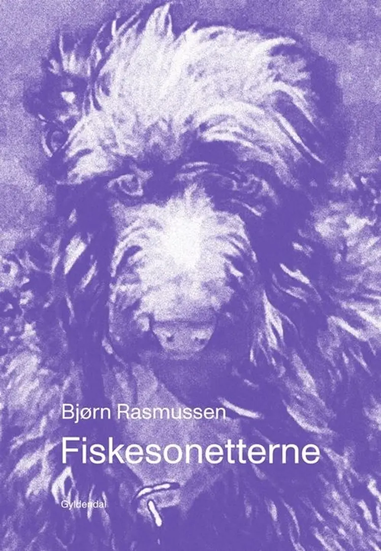 Fiskesonetterne af Bjørn Rasmussen