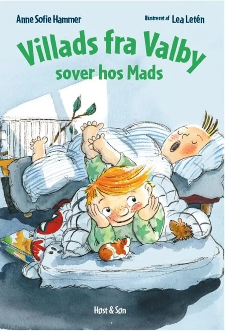 Villads fra Valby sover hos Mads af Anne Sofie Hammer