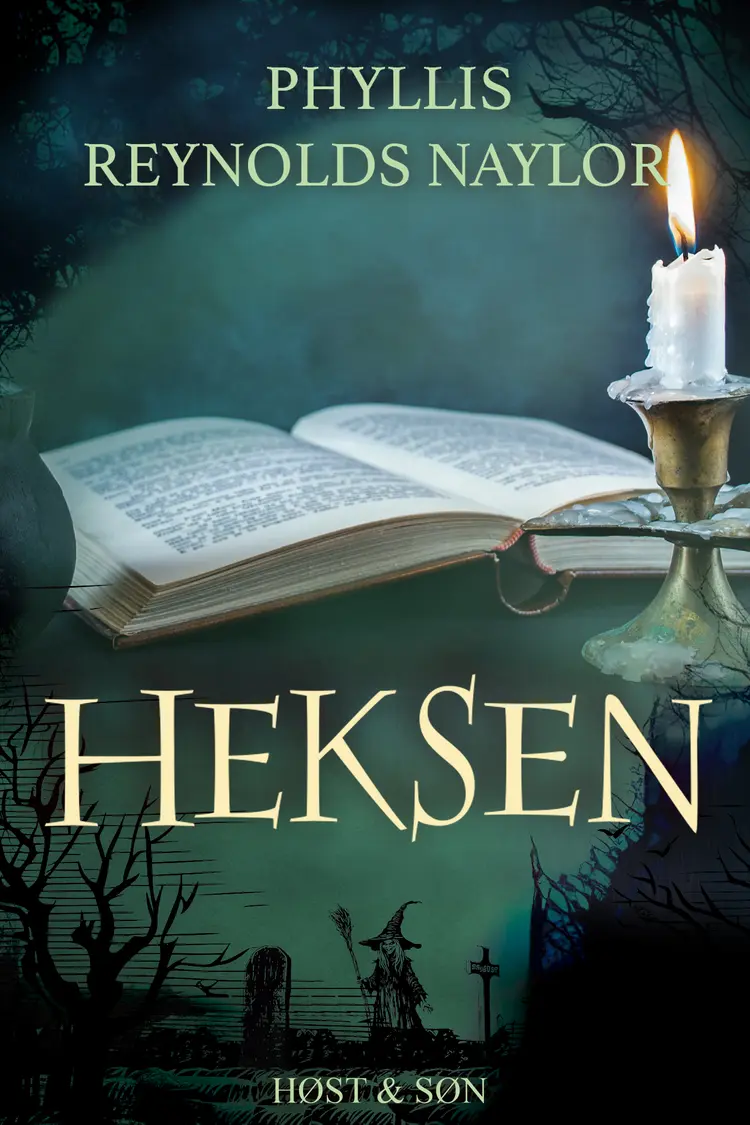 Heksen af Phyllis Reynolds Naylor