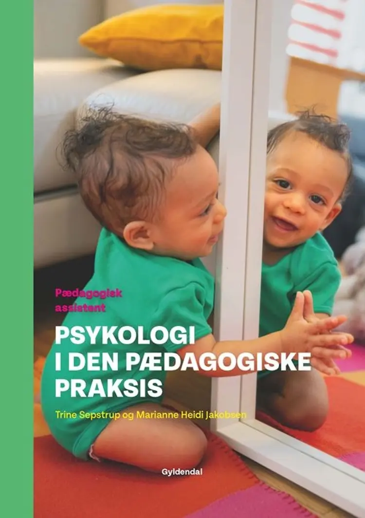 Psykologi i den pædagogiske praksis af Trine Sepstrup