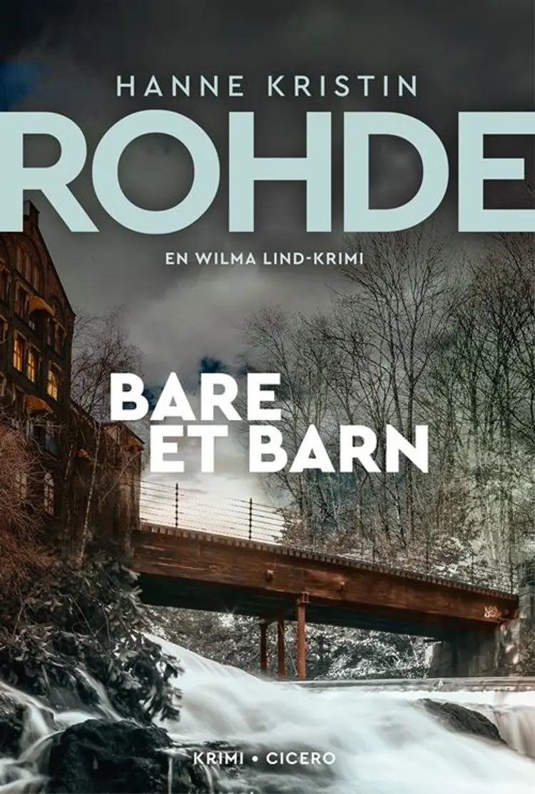 Bare et barn af Hanne Kristin Rohde