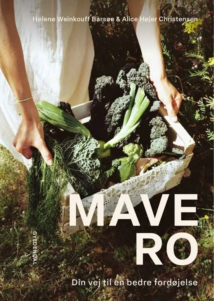 Mavero af Helene Weinkouff Barsøe