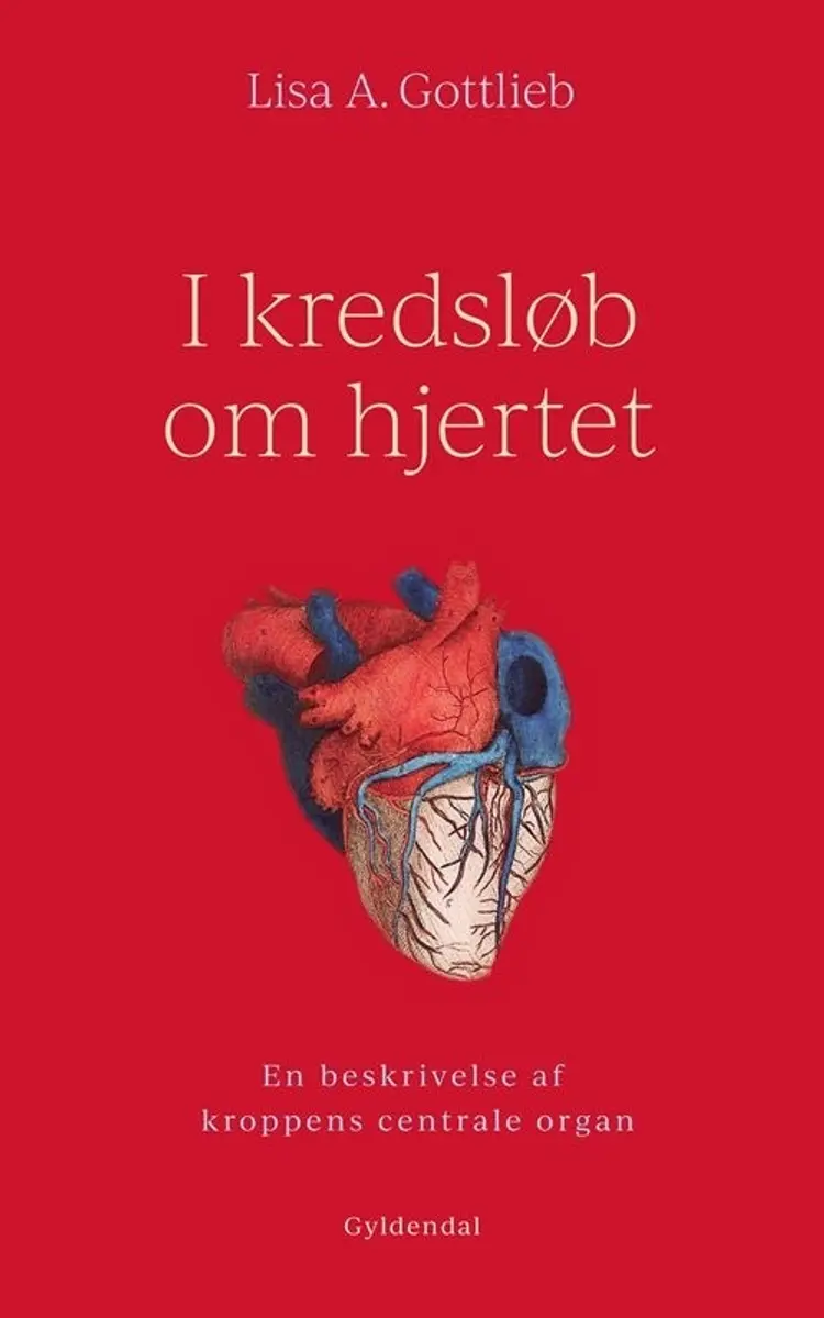 I kredsløb om hjertet af Lisa A. Gottlieb