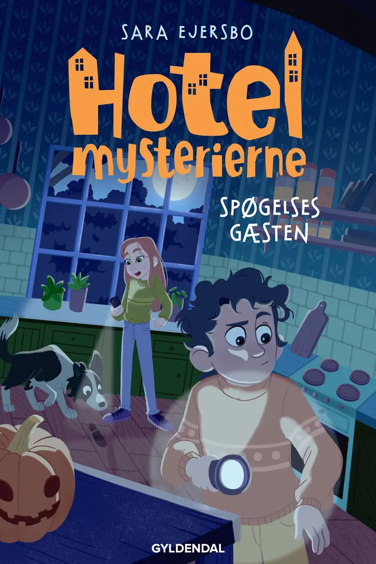 Spøgelsesgæsten af Sara Ejersbo