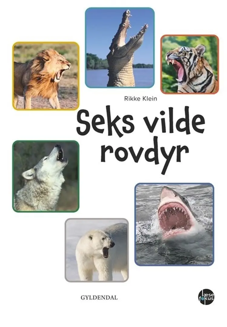 Seks vilde rovdyr af Rikke Klein