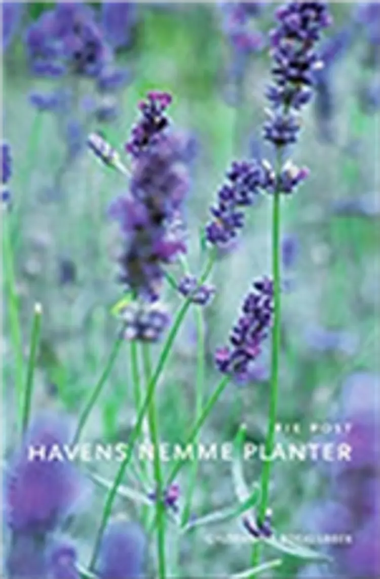 Havens nemme planter af -