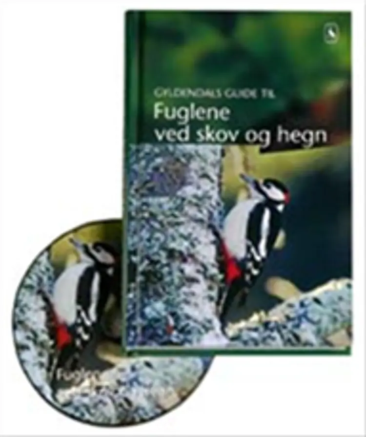 Fuglene ved skov og hegn af -