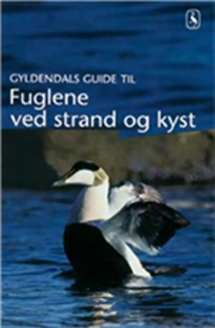 Fuglene ved strand og kyst af -