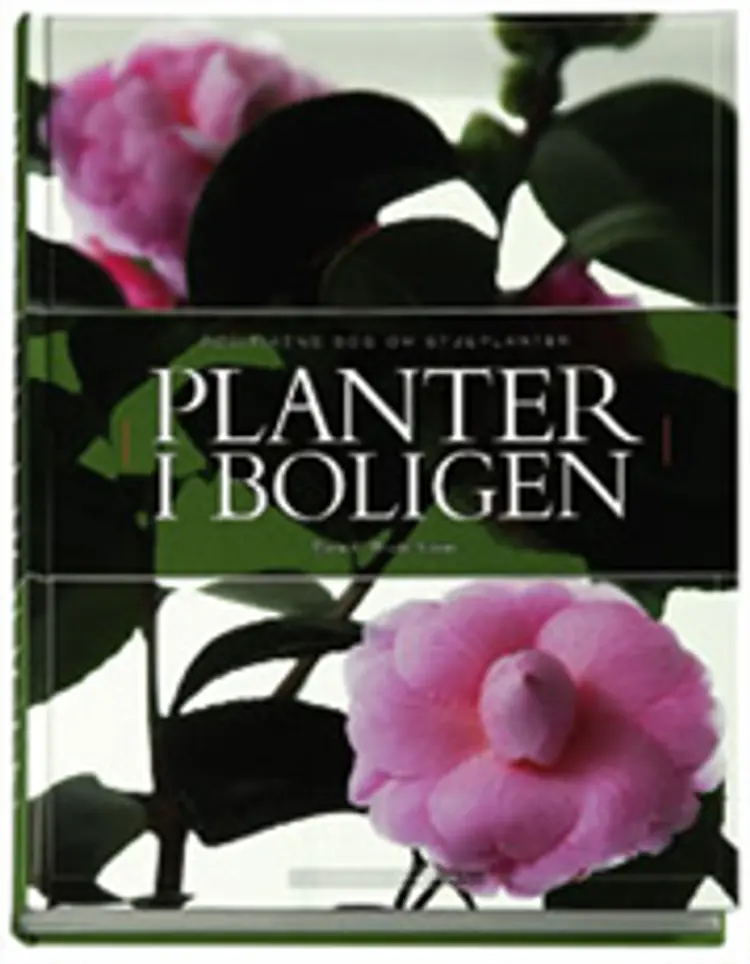 Politikens bog om stueplanter af Dorte K. Rhode Nissen